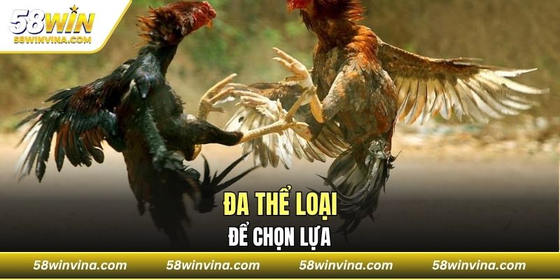 Đa thể loại để chọn lựa