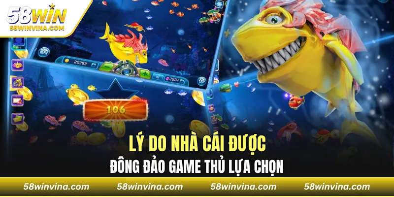 Lý do nhà cái được đông đảo game thủ lựa chọn