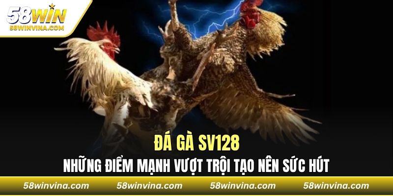 Những điểm mạnh vượt trội tạo nên sức hút đá gà SV128