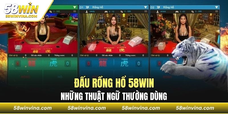 Những thuật ngữ thường dùng trong đấu rồng hổ 58Win