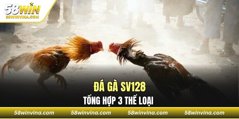 Tổng hợp 3 thể loại đá gà phổ biến nhất 58Win